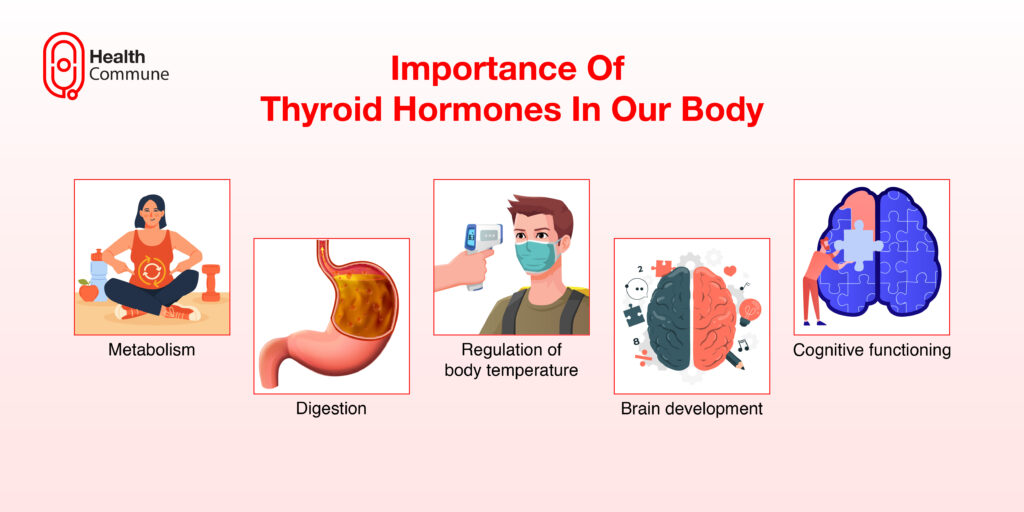 Thyroid Hormones