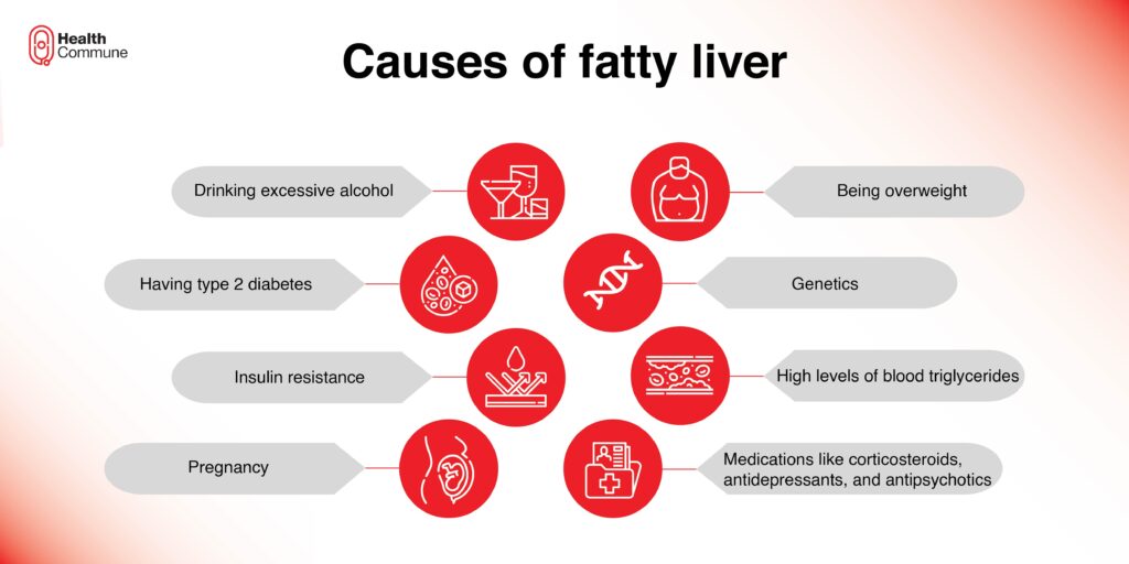 Causes of fatty liver